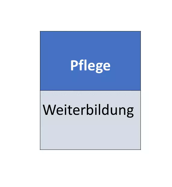 MH Kinaesthetics - Weiterbildung zum Zertifizierter Anwender